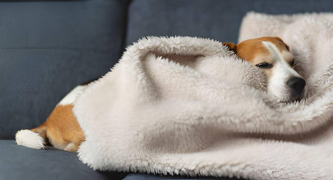 waterproof blankets for pets